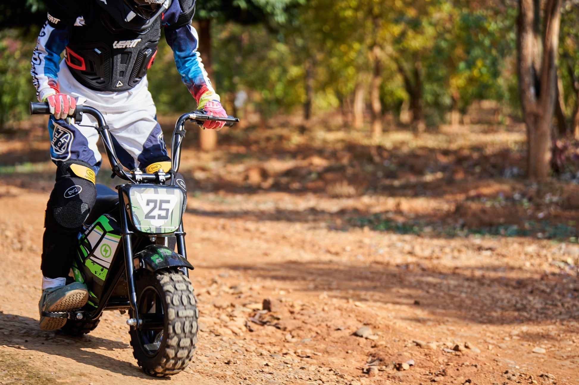 Kids Electric Powered Mini Bike