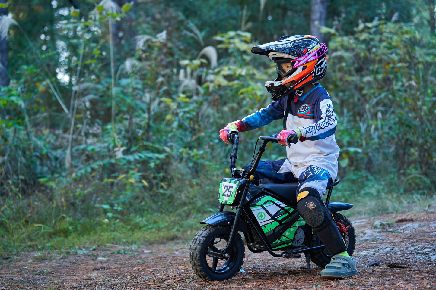 Electric Mini Bike