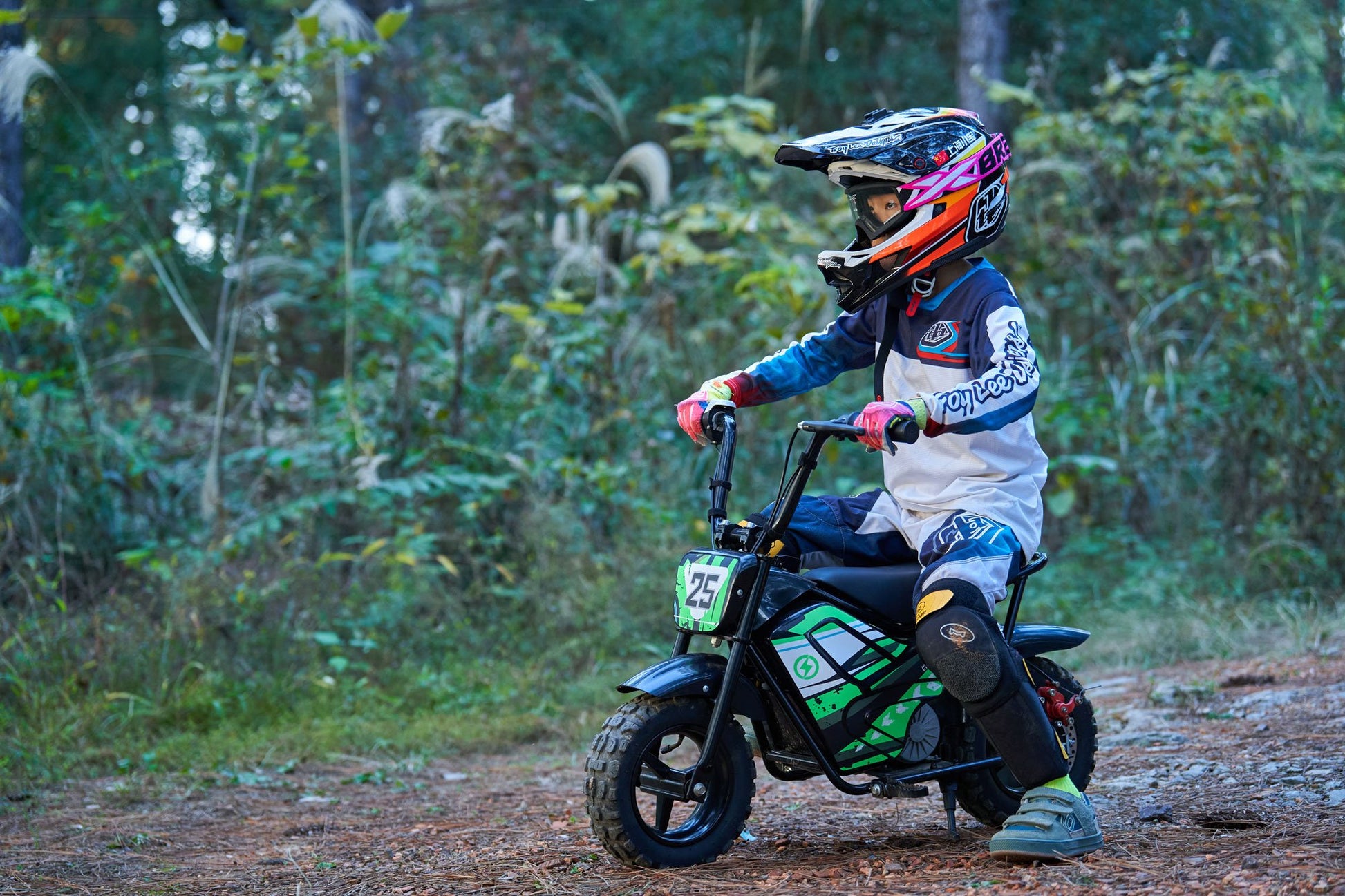 Electric Mini Bike