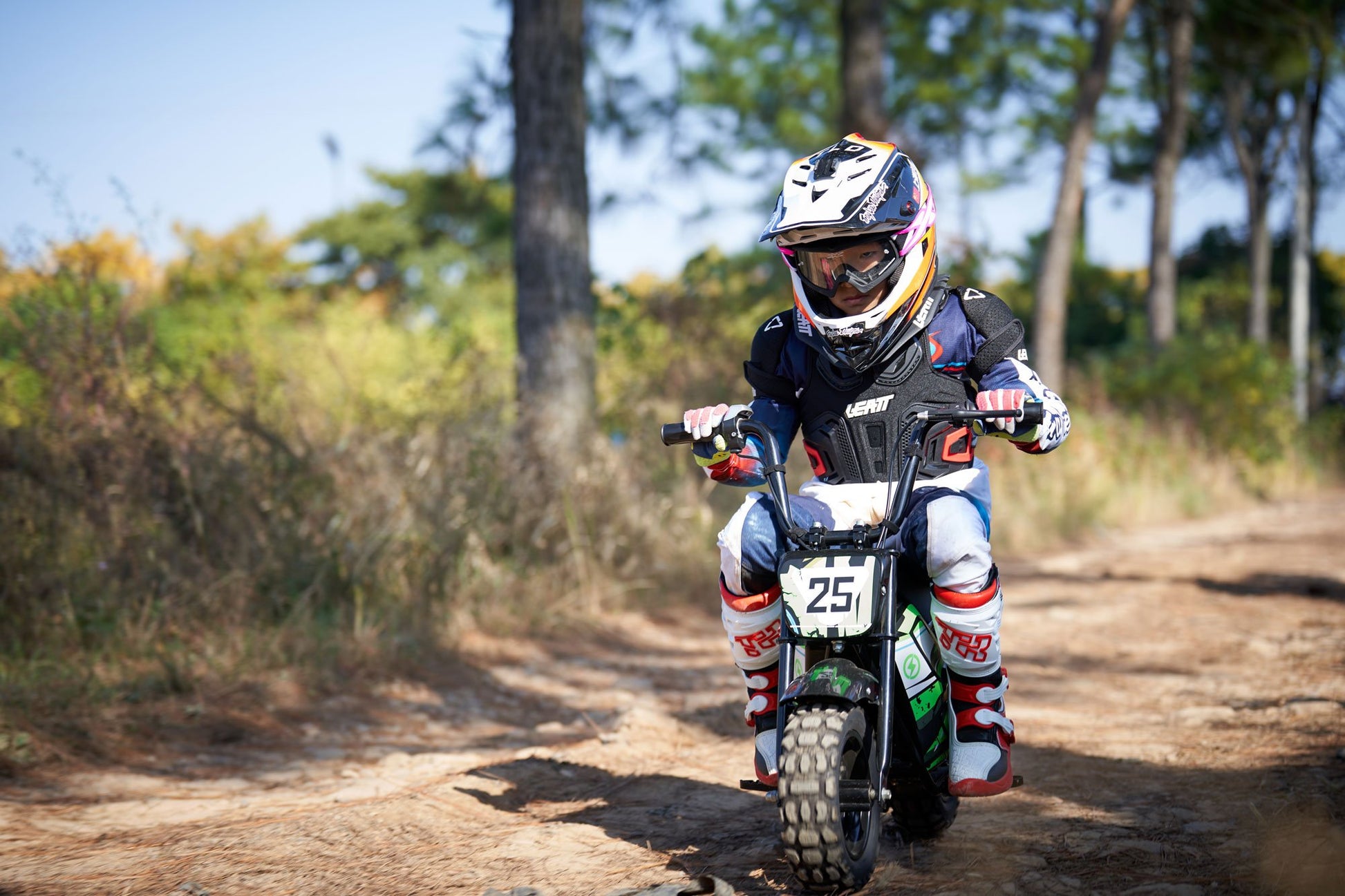 MotoTec 24v 250w Electric Powered Mini Bike