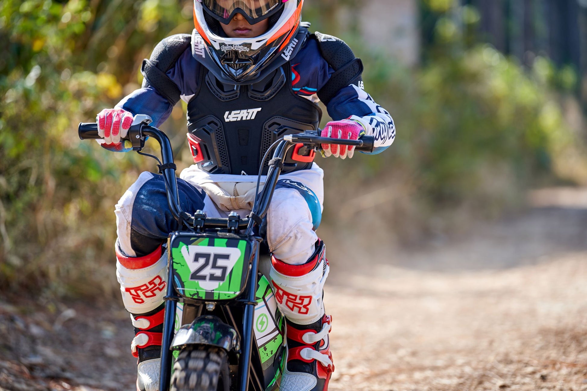 Electric Powered Mini Bike