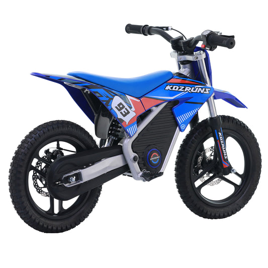 BLUE - Electric Dirt Bike for Kids, 36V 350W 14