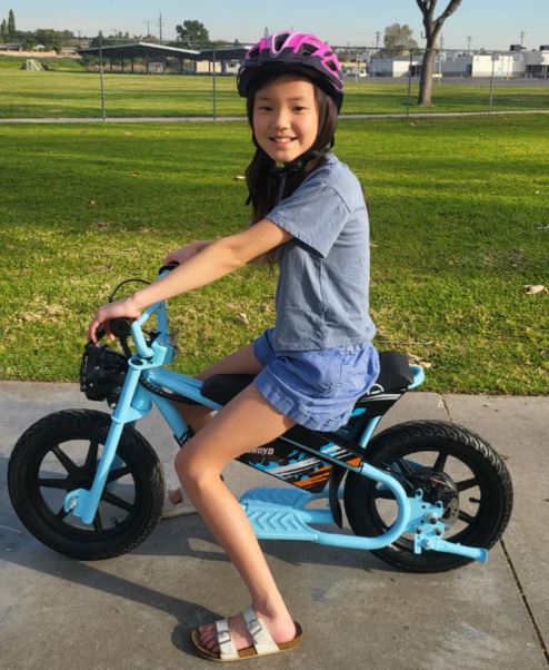 Droyd Electric Mini Bike